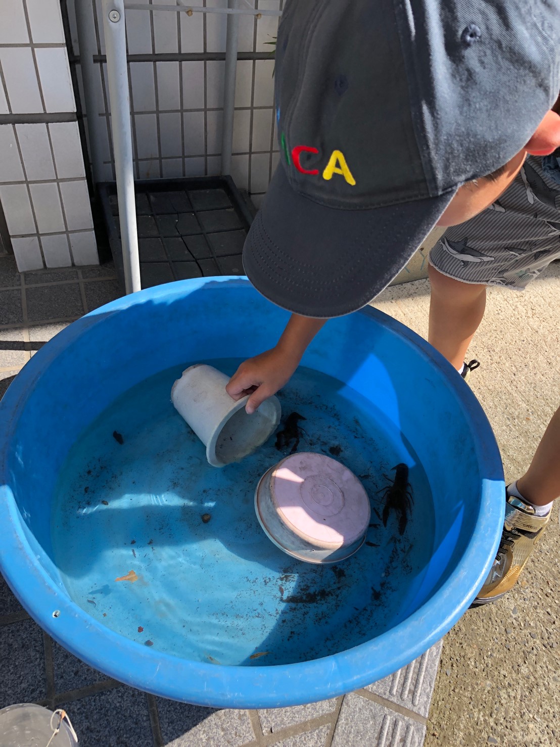 学童yプラス ザリガニ 魚釣り 滋賀ymca
