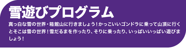 真っ白な雪の世界・箱館山に行きましょう!かっこいいゴンドラに乗って山頂に行くとそこは雪の世界!雪だるまを作ったり、そりに乗ったり、いっぱいいっぱい遊びましょう!